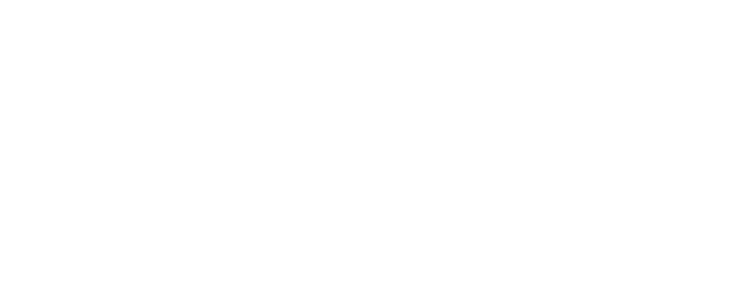 Rosa Braga